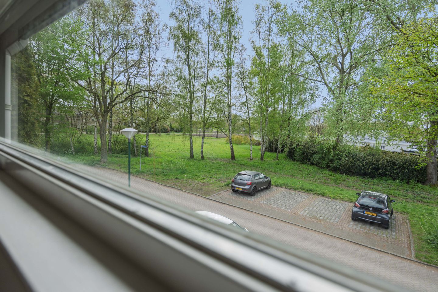 Foto 20 van De Knolraap 37