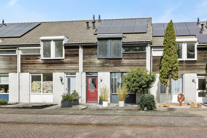 De Knolraap 37 main image