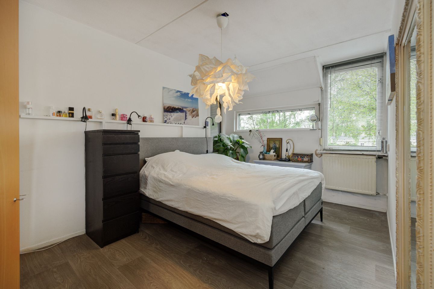 Foto 19 van De Knolraap 37