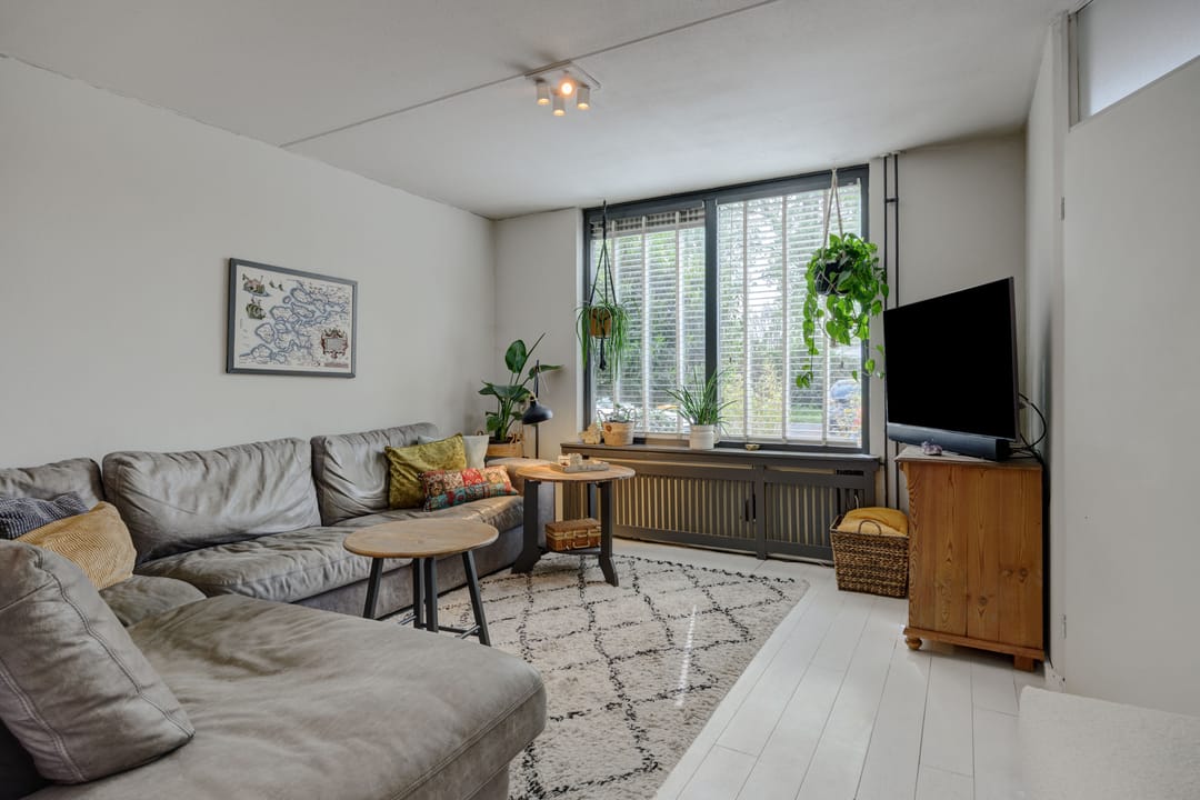 Foto 2 van De Knolraap 37