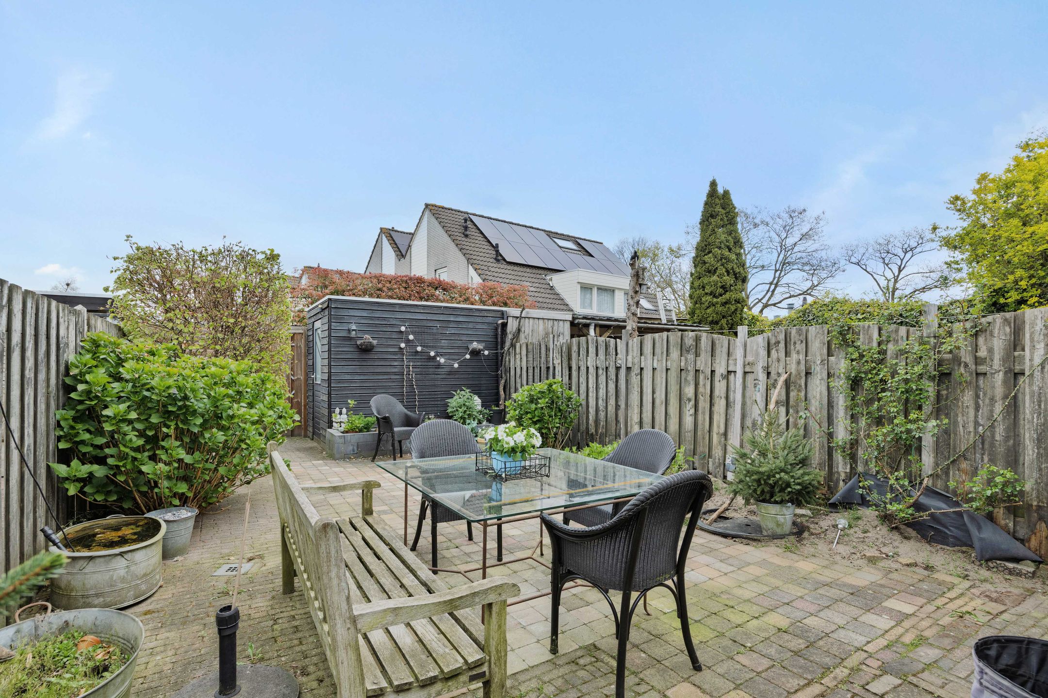 Foto 30 van De Knolraap 37