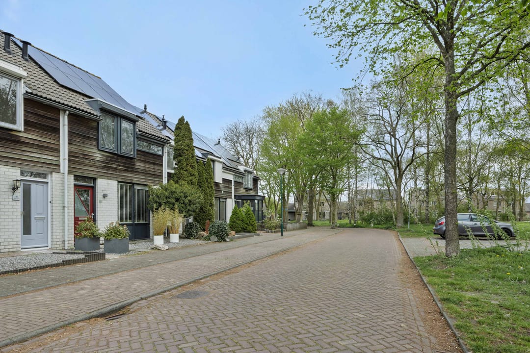 Foto 37 van De Knolraap 37