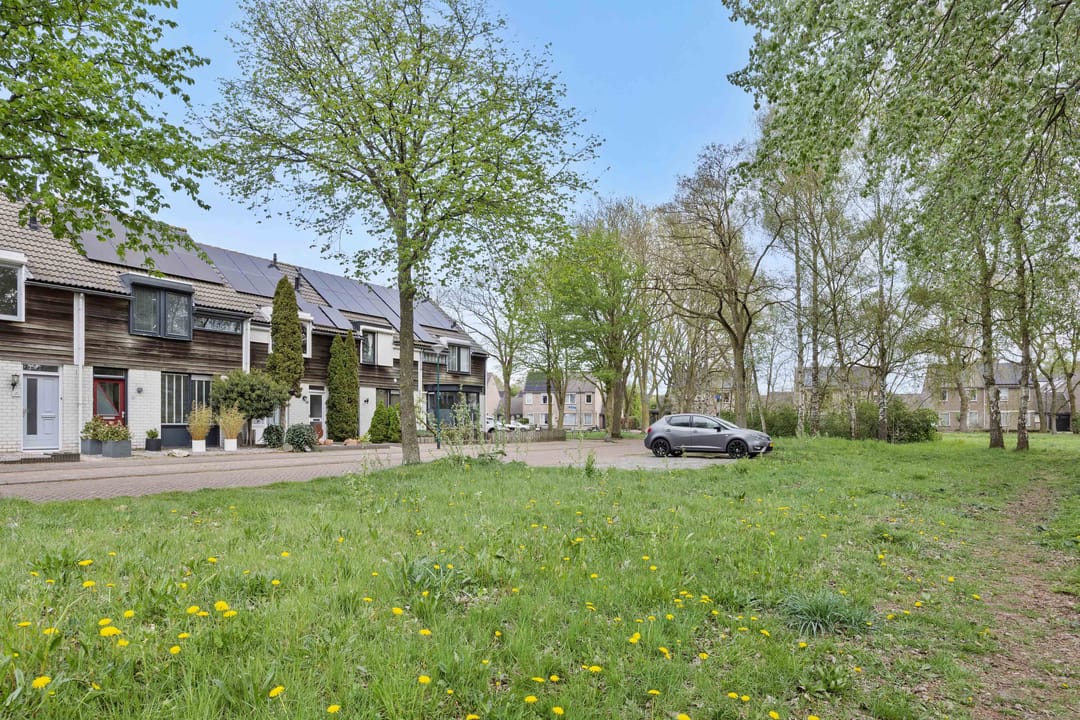 Foto 38 van De Knolraap 37