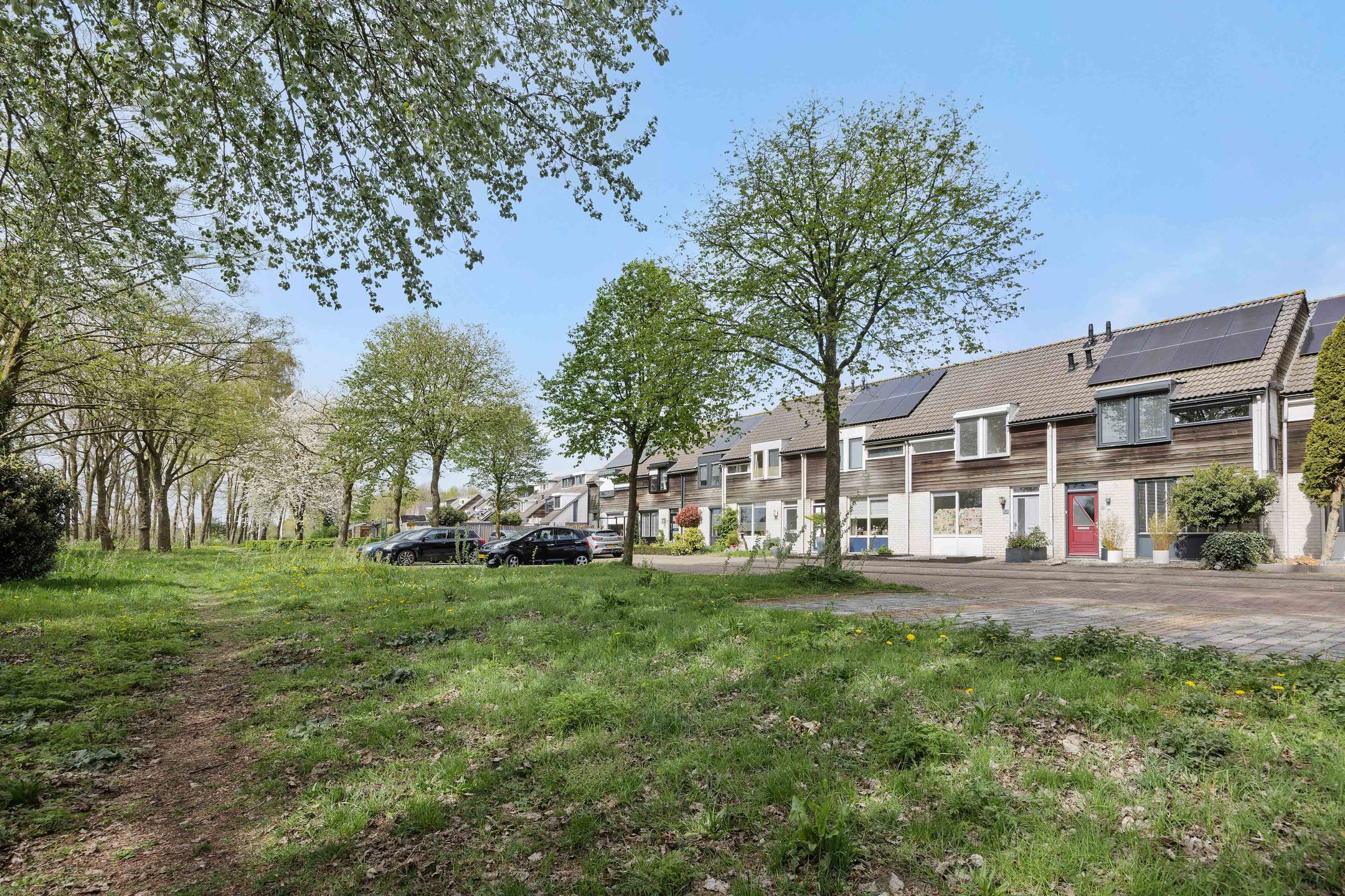 Foto 39 van De Knolraap 37