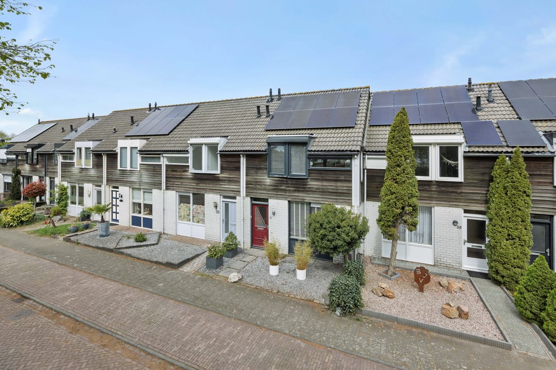 Foto 41 van De Knolraap 37