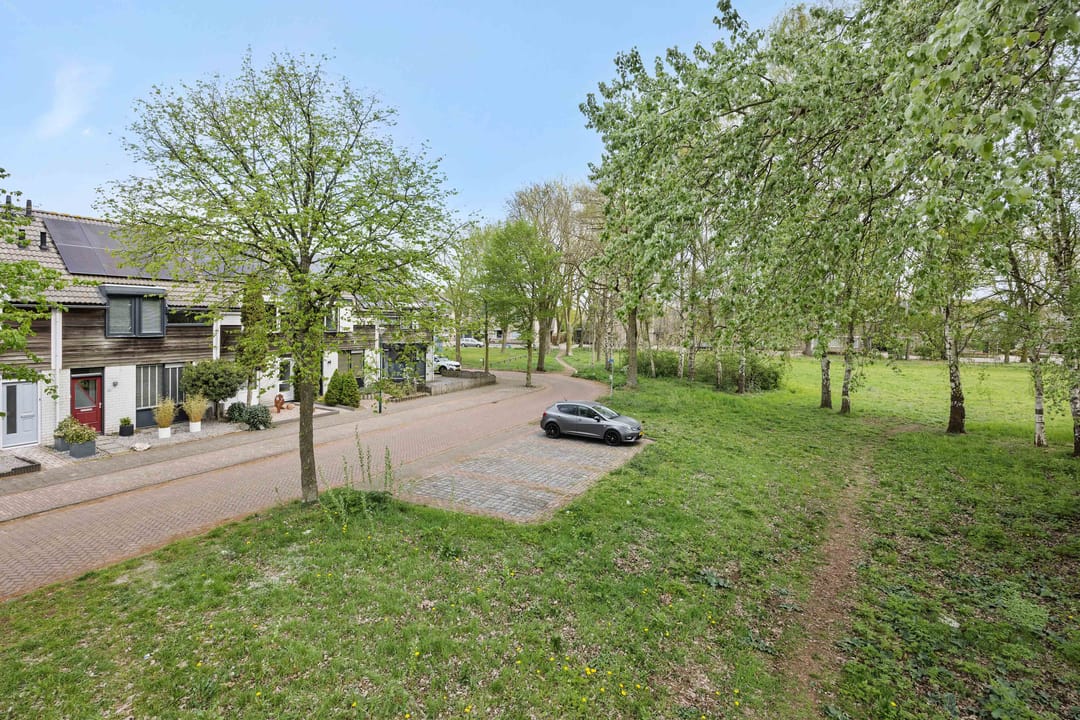 Foto 43 van De Knolraap 37