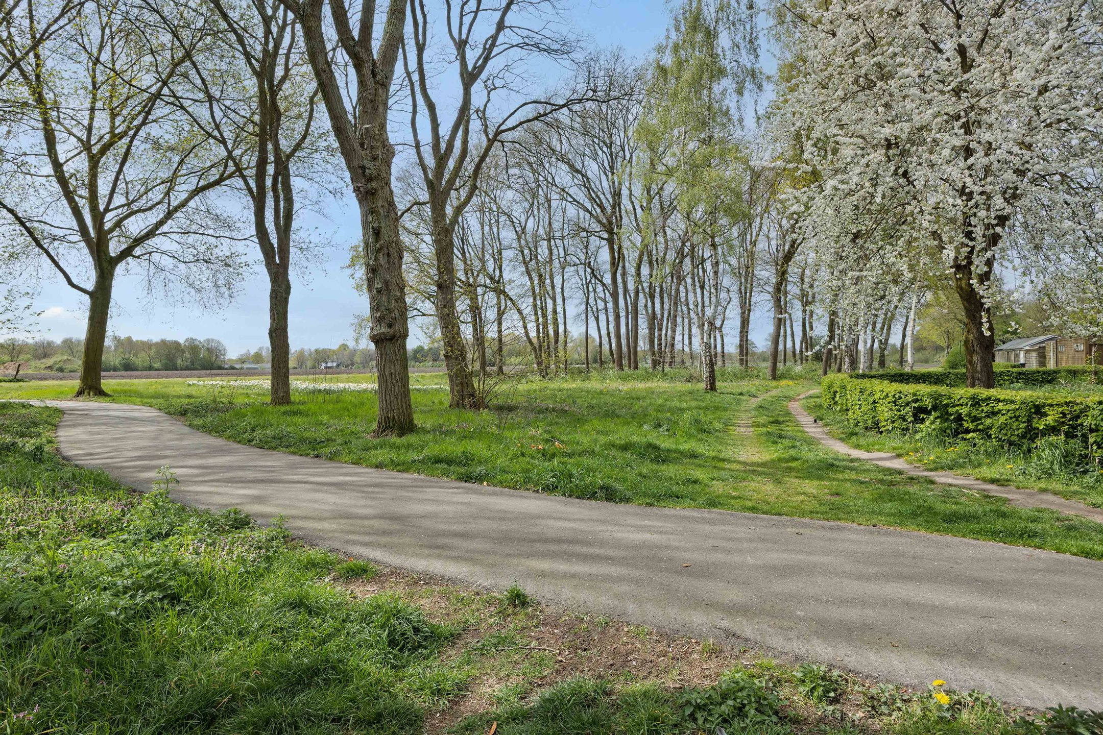 Foto 45 van De Knolraap 37