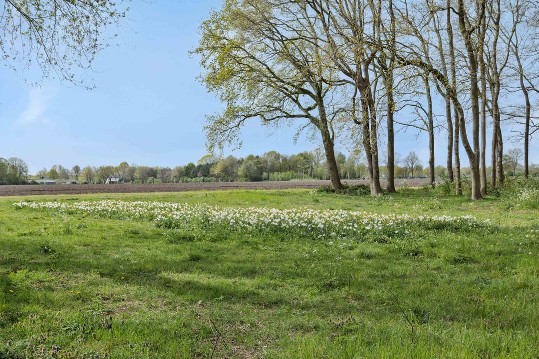 Foto 46 van De Knolraap 37