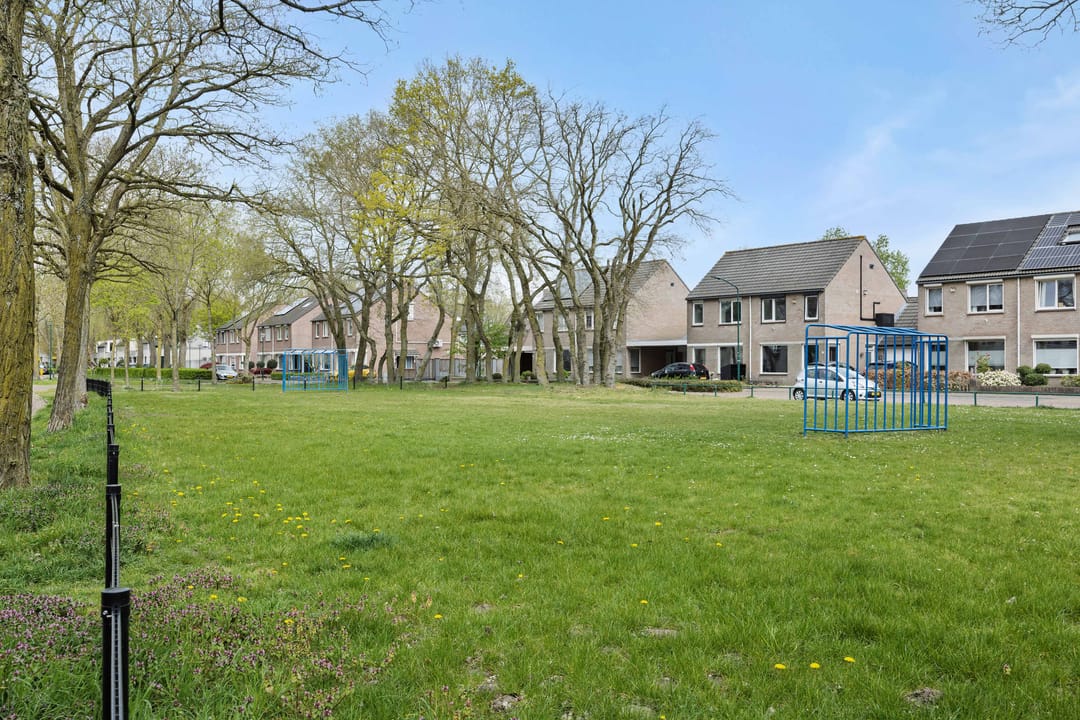 Foto 47 van De Knolraap 37