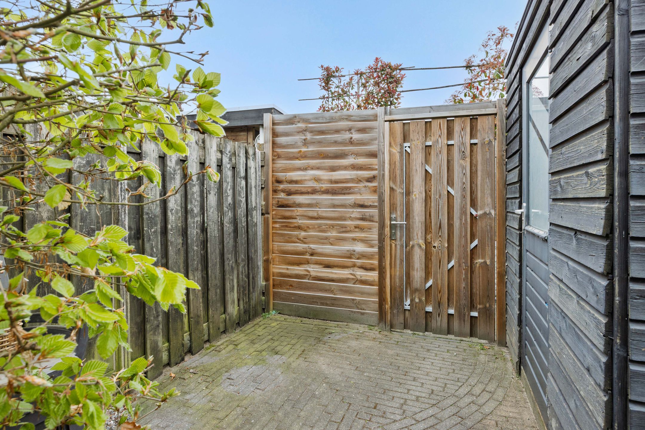 Foto 33 van De Knolraap 37