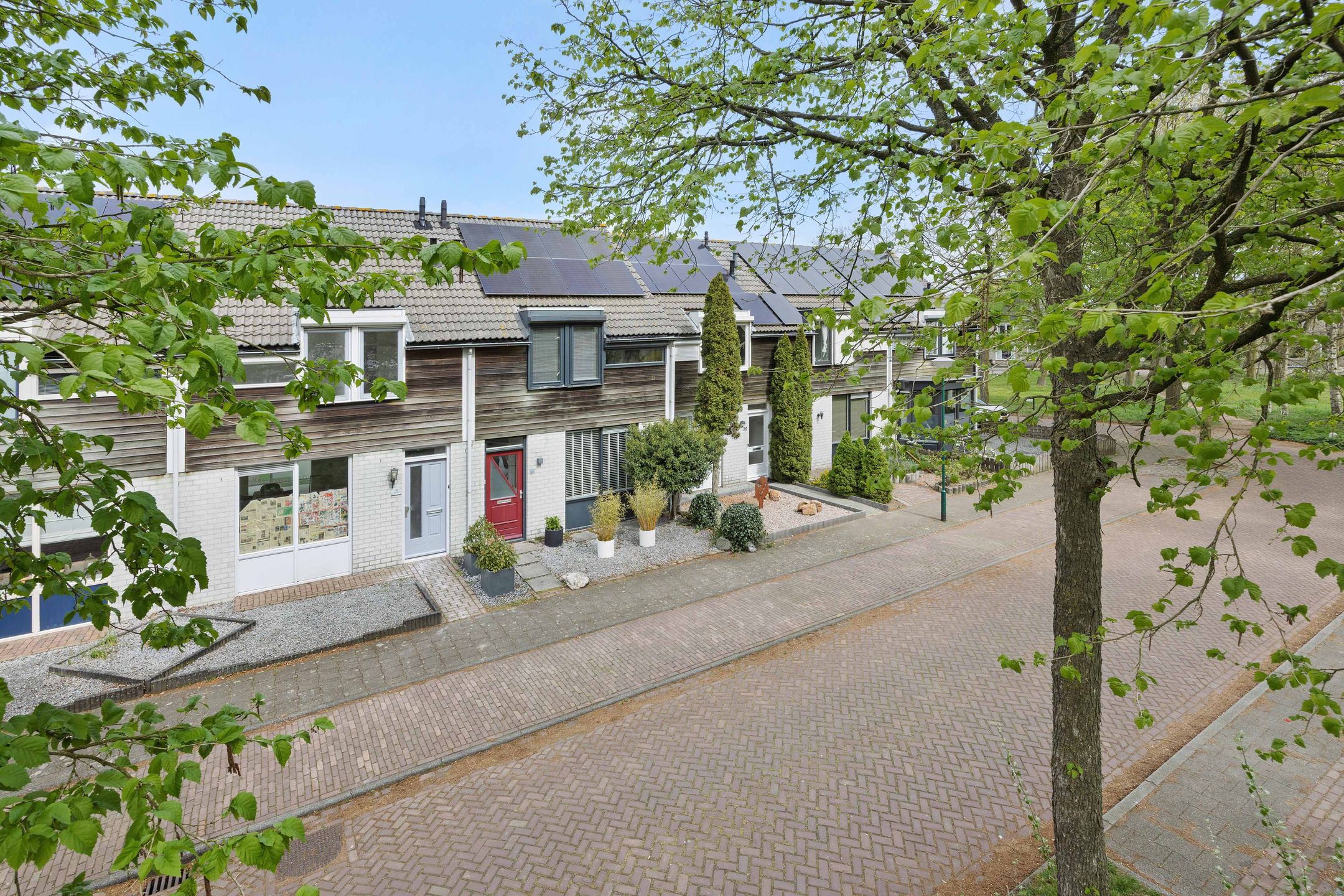 Foto 42 van De Knolraap 37