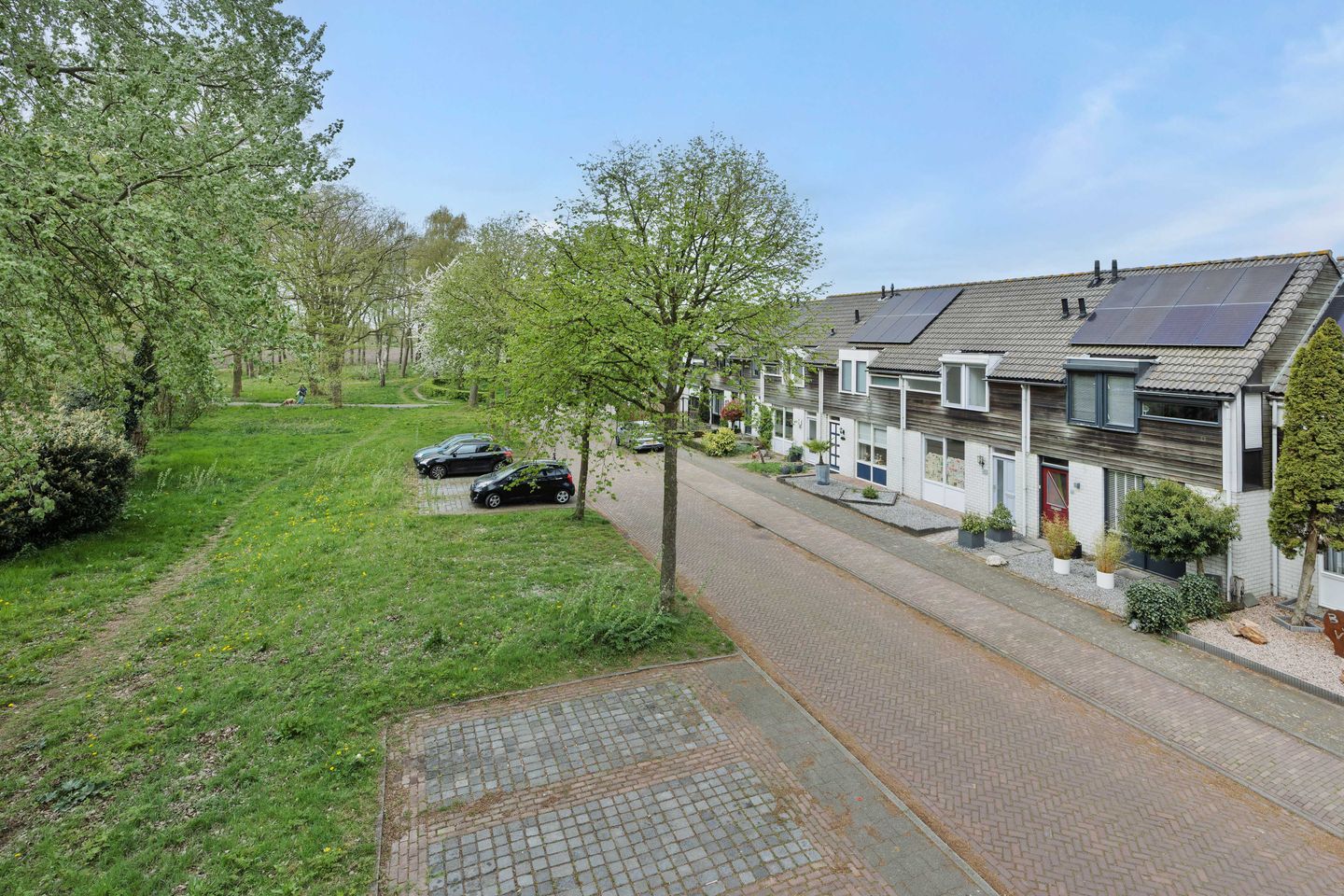 Foto 40 van De Knolraap 37