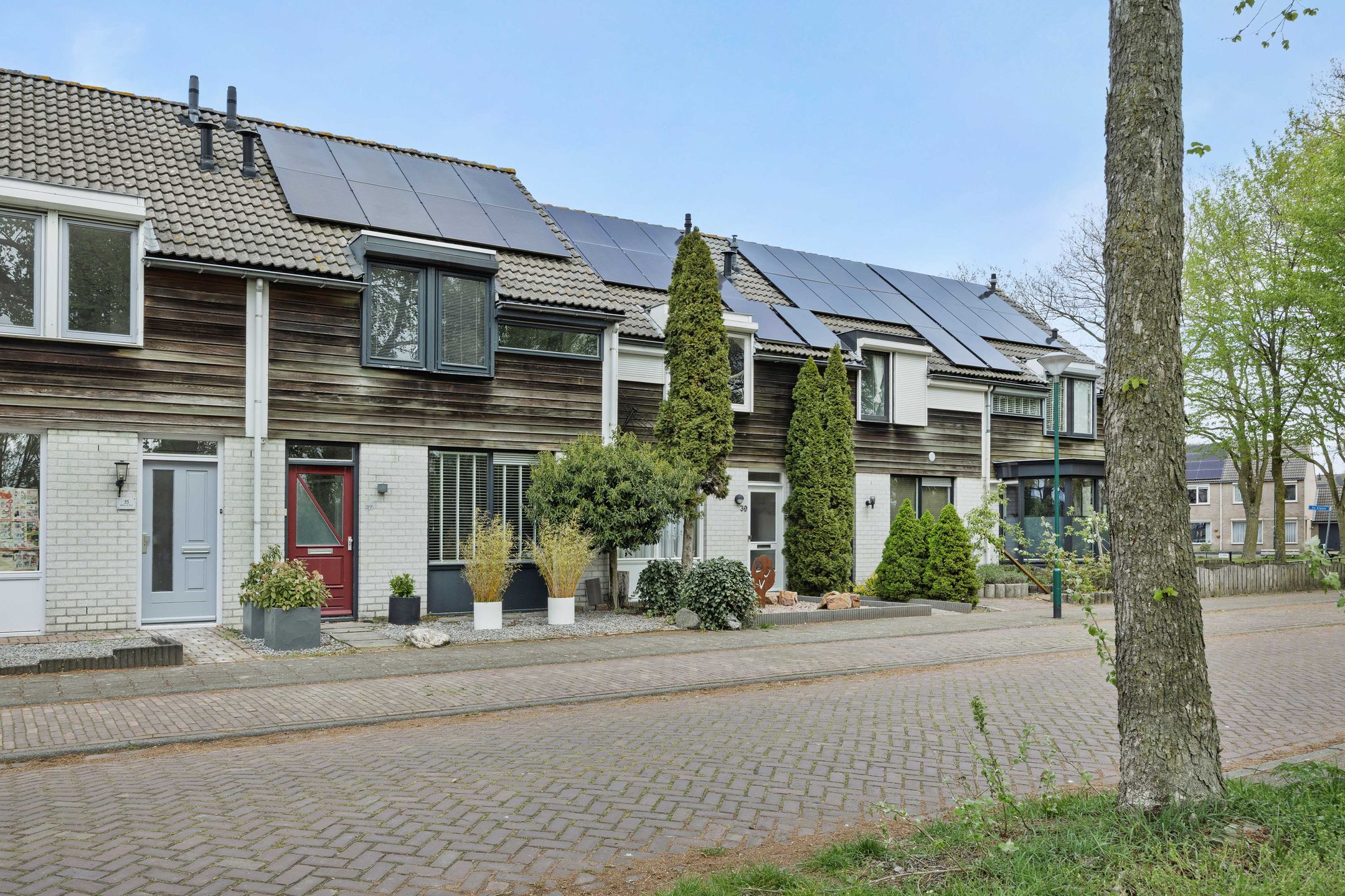 Foto 36 van De Knolraap 37