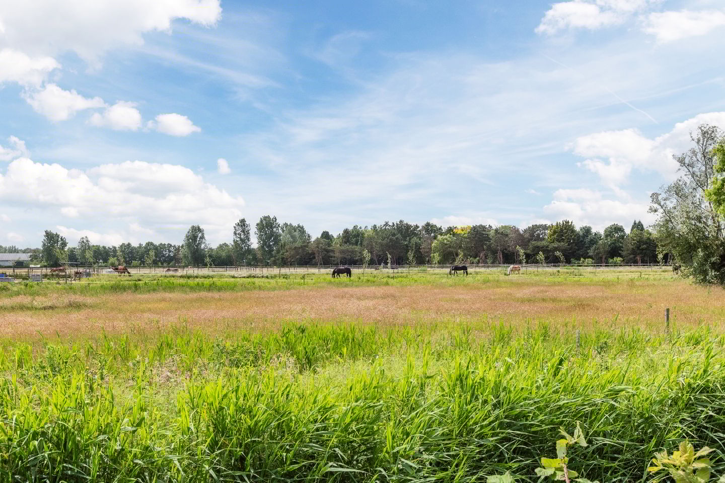 Photo 65 of Gerbrant Meussweg 12