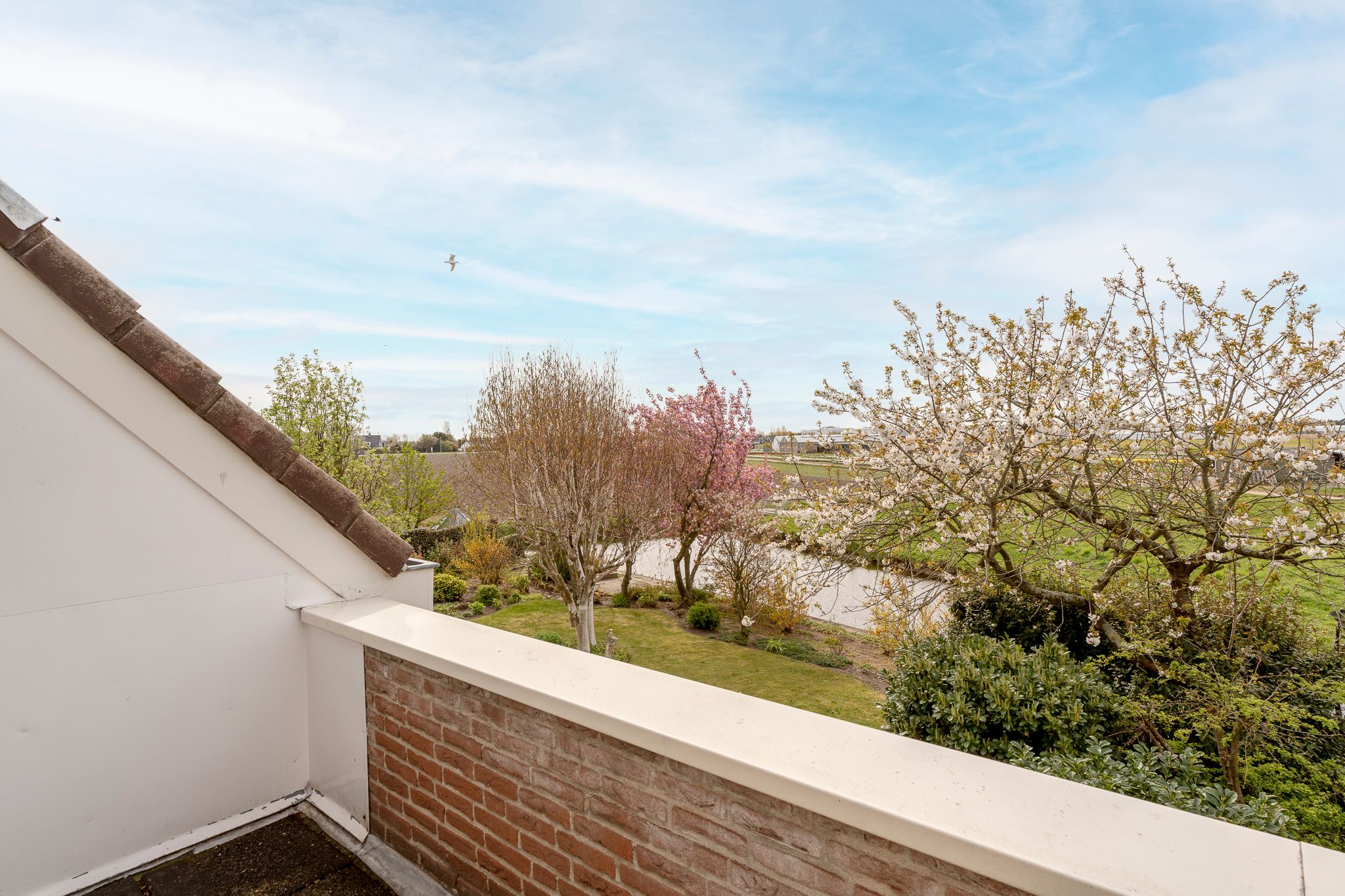 Foto 30 van Schelpenhoek 9