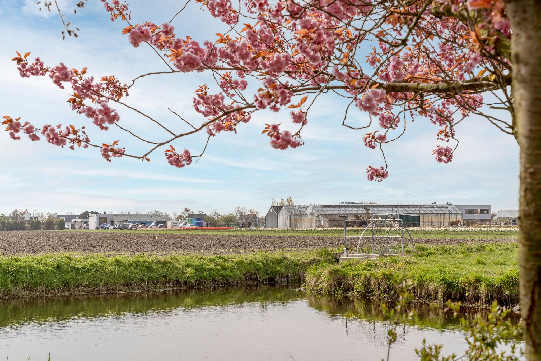 Foto 18 van Schelpenhoek 9