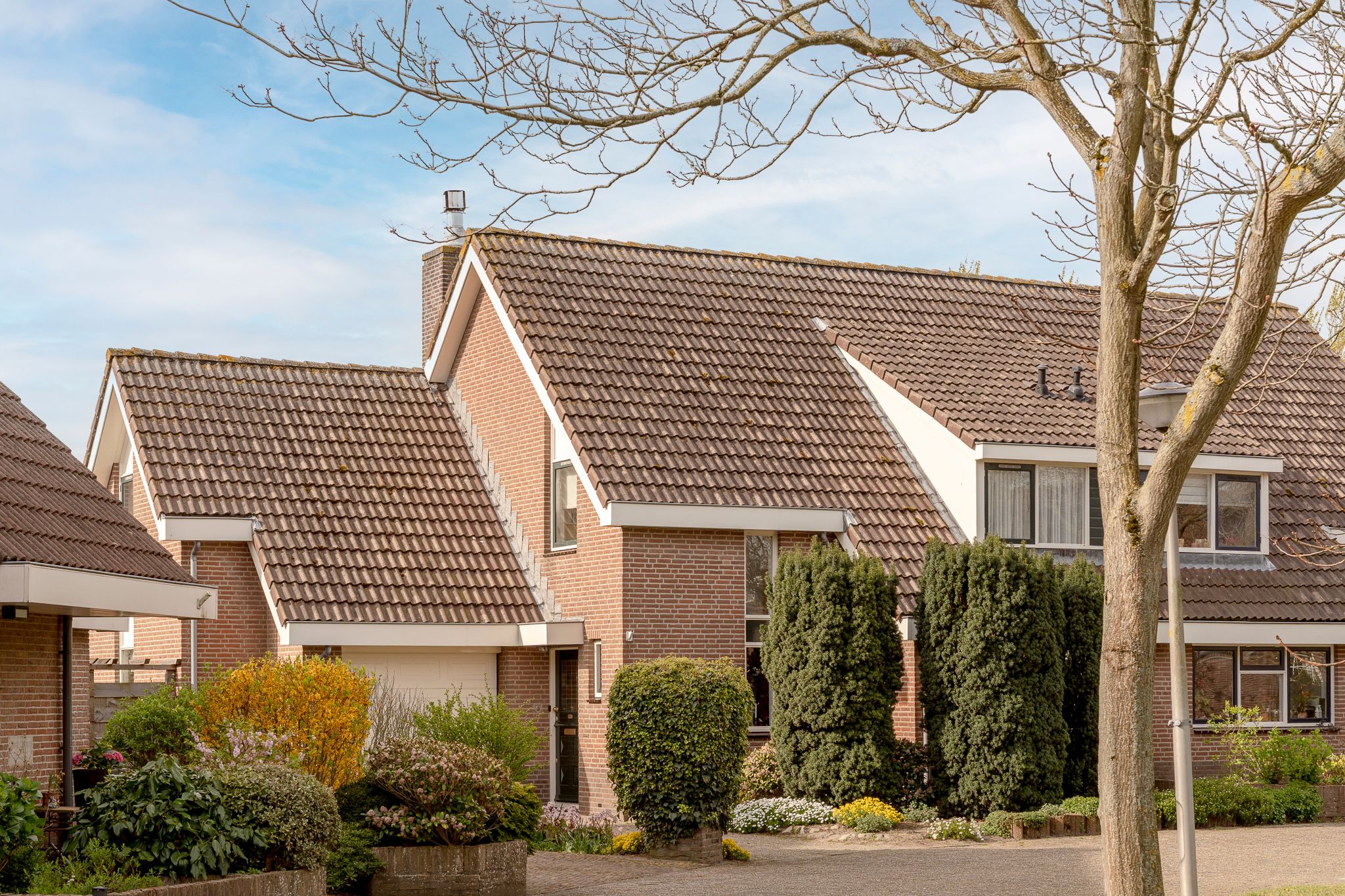 Foto 6 van Schelpenhoek 9