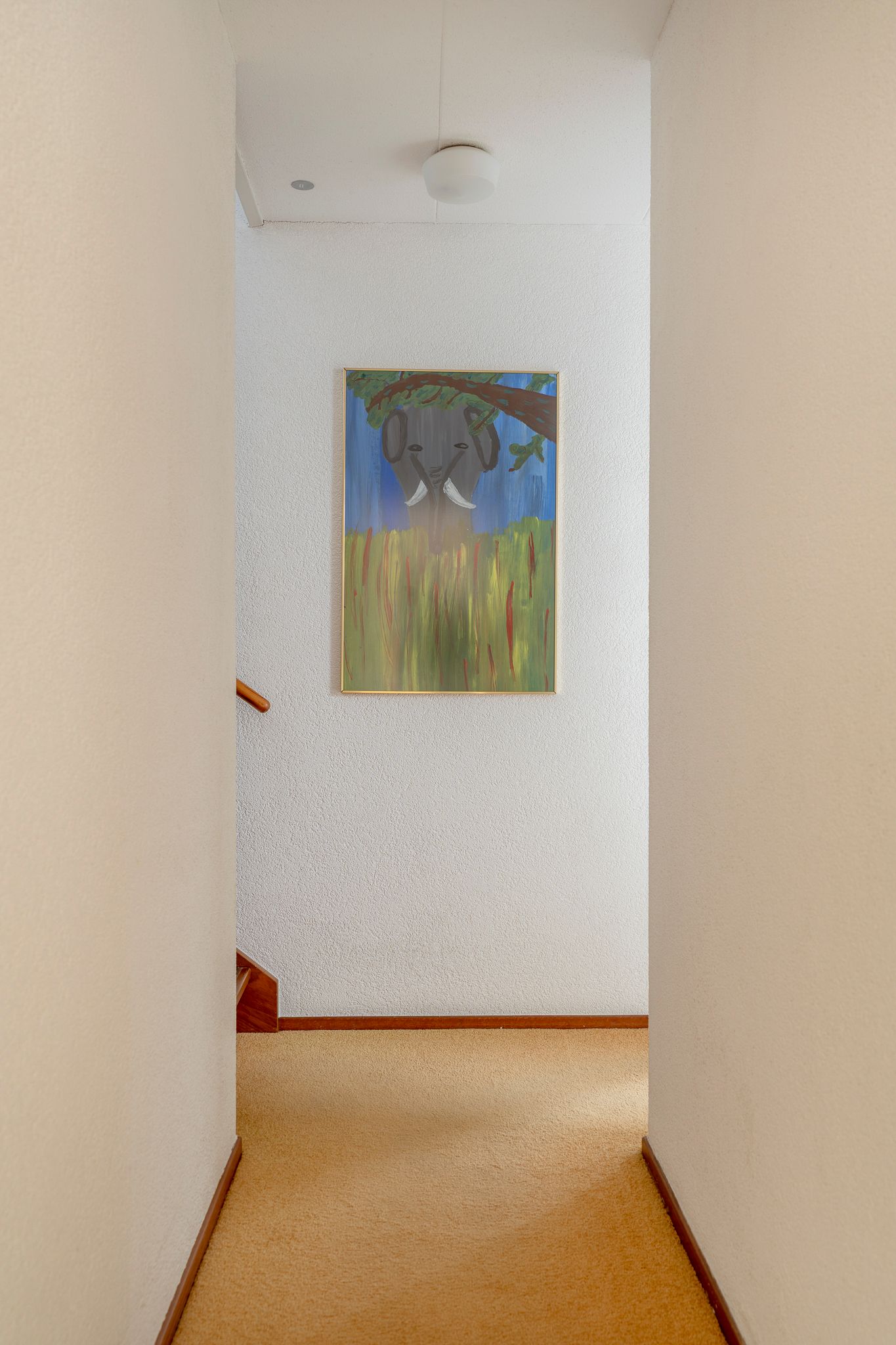 Foto 40 van Schelpenhoek 9