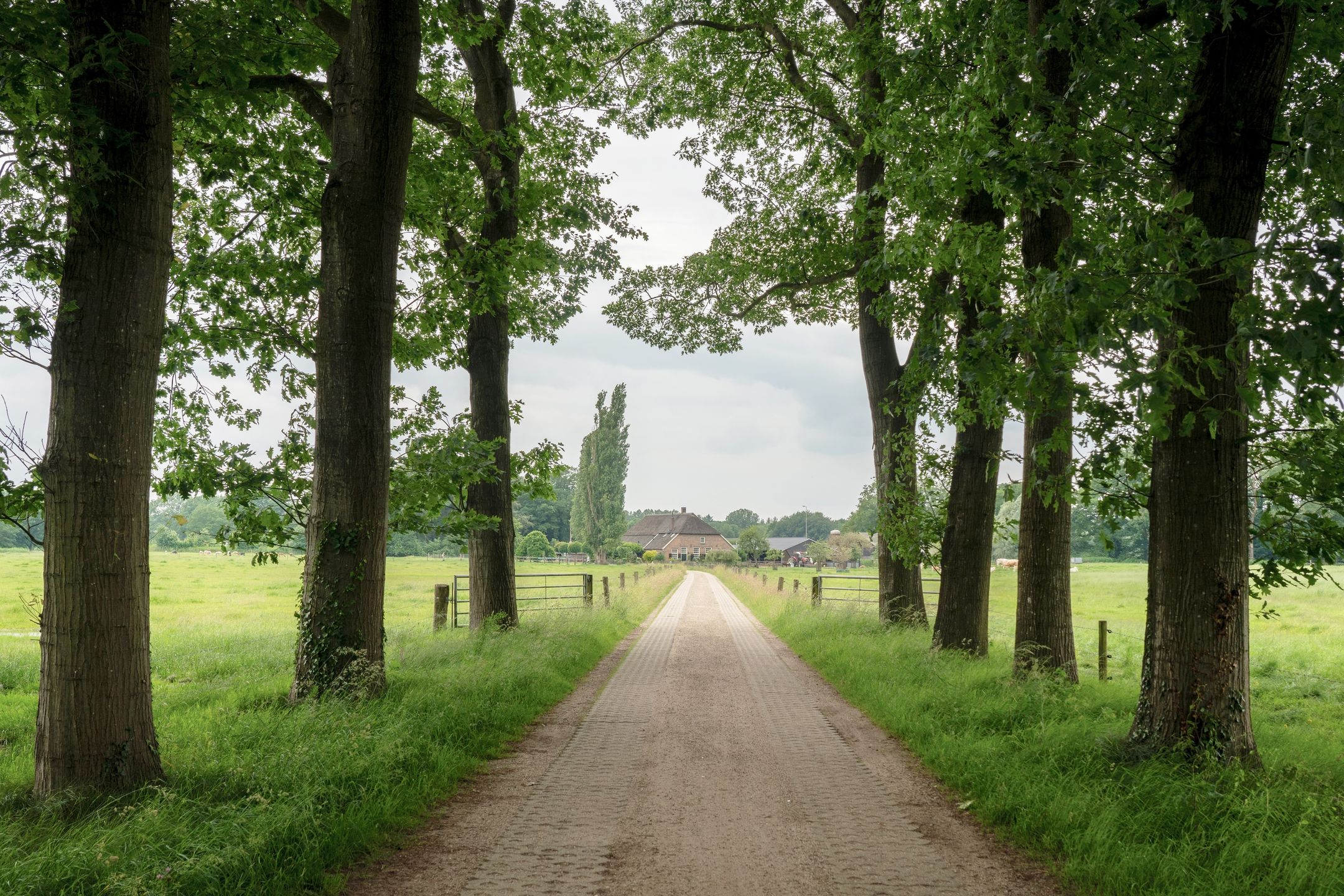 Photo 39 of Hackforterweg 33-H01