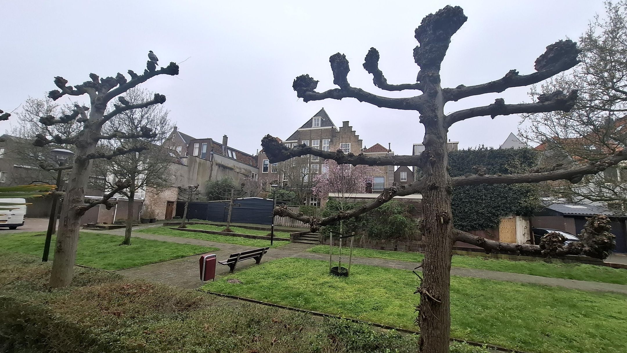 Foto 18 van Wijngaardstraat 17