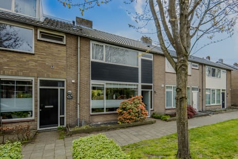 Witte de Withstraat thumbnail