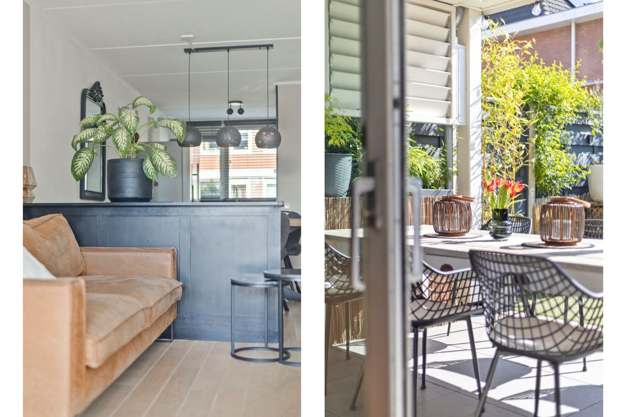 Foto 21 van Willem Roodbeenhof 7