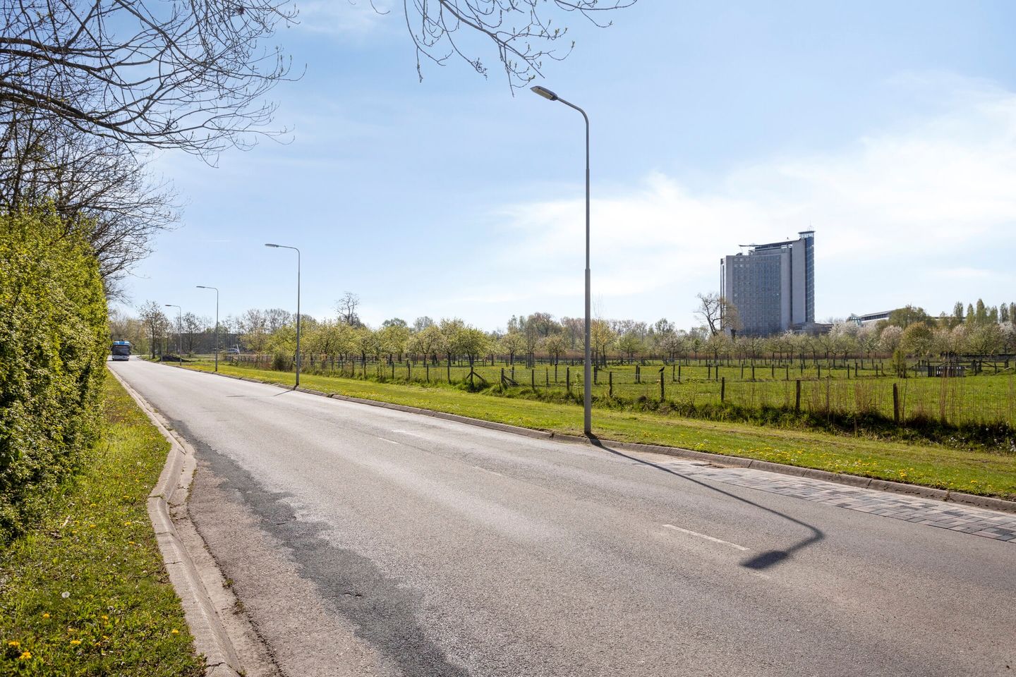 Foto 49 van Willem Roodbeenhof 7