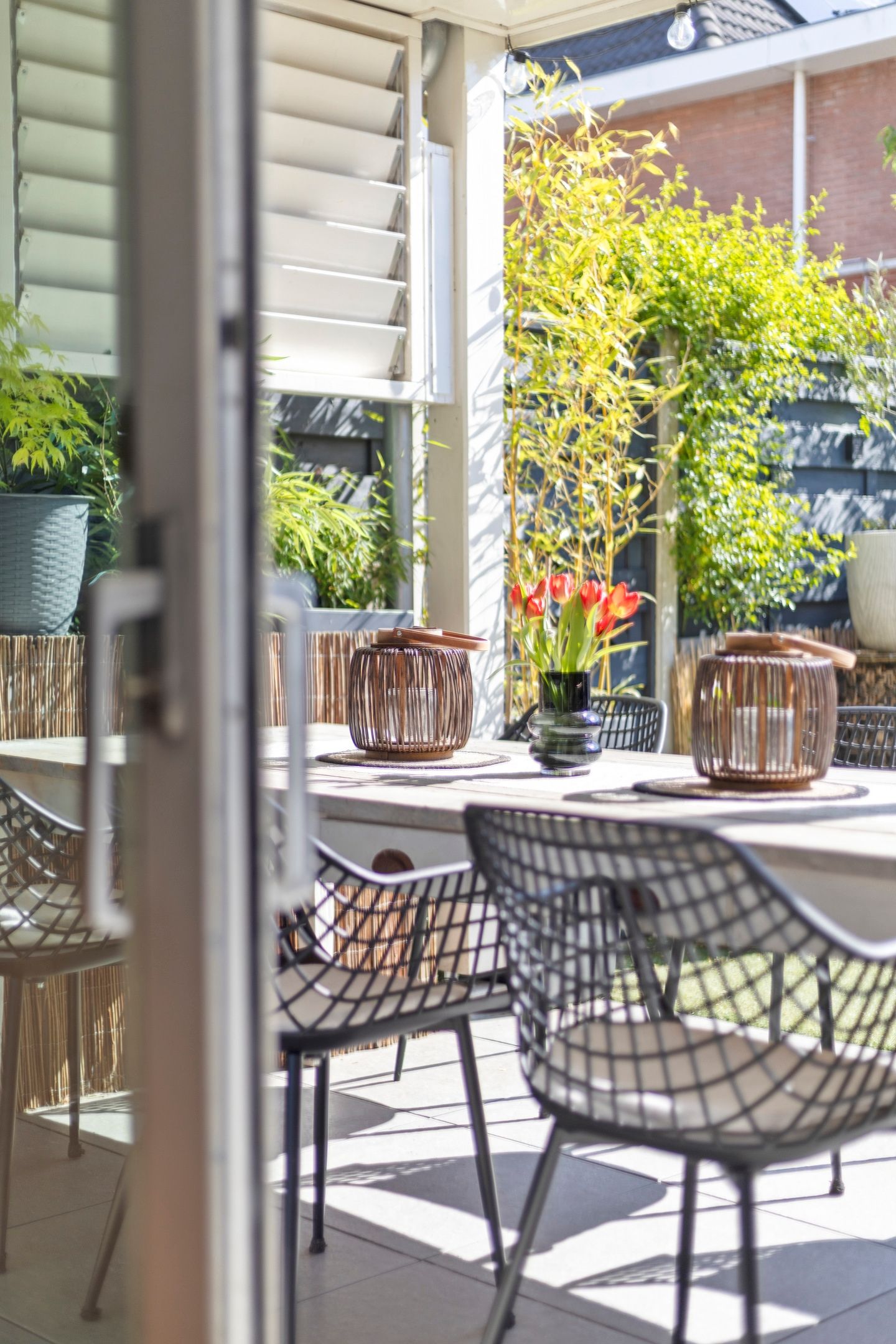 Foto 25 van Willem Roodbeenhof 7