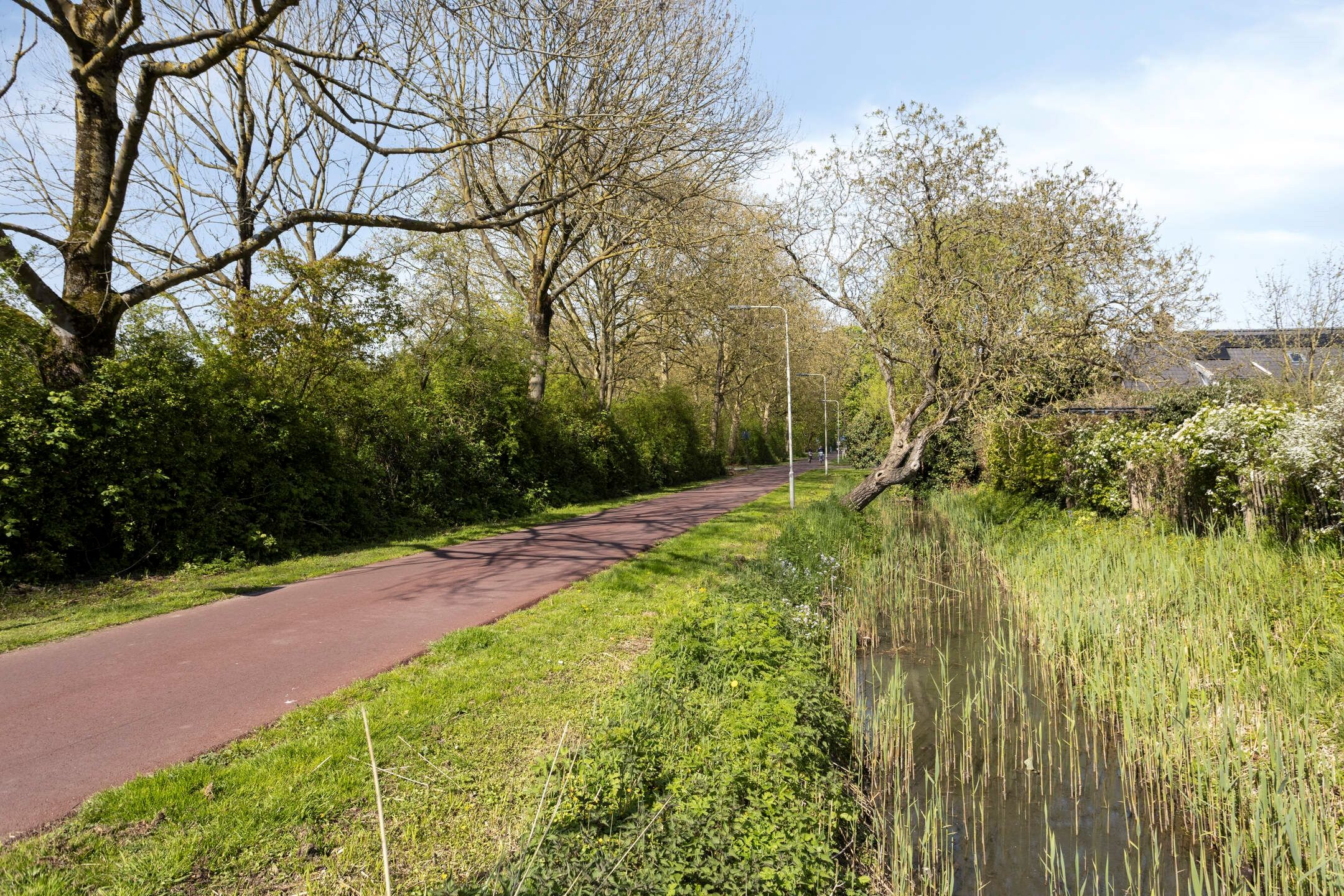 Foto 48 van Willem Roodbeenhof 7