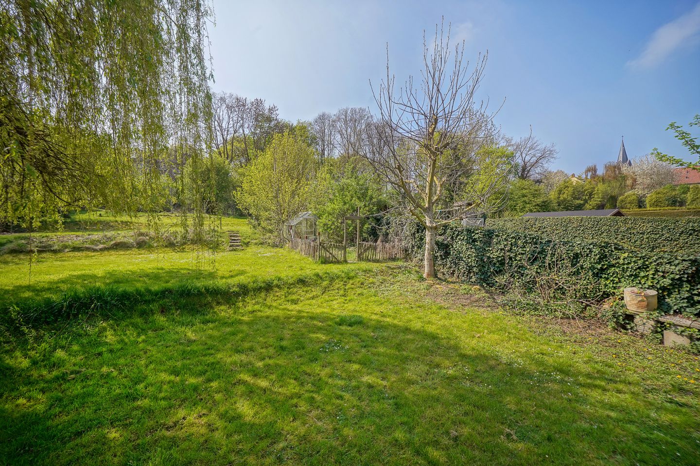 Foto 10 van Pletzersstraat 20