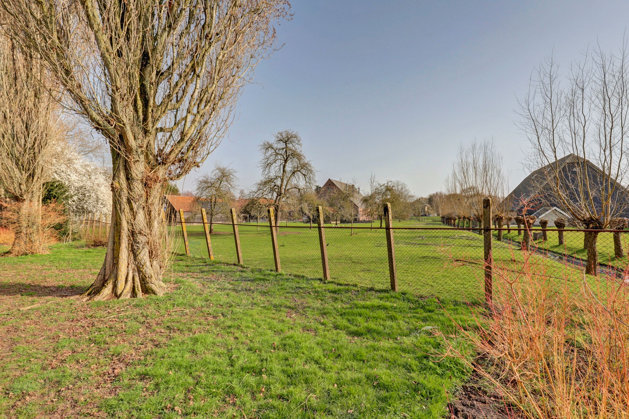 Foto 3 van Albert Cuypstraat 14