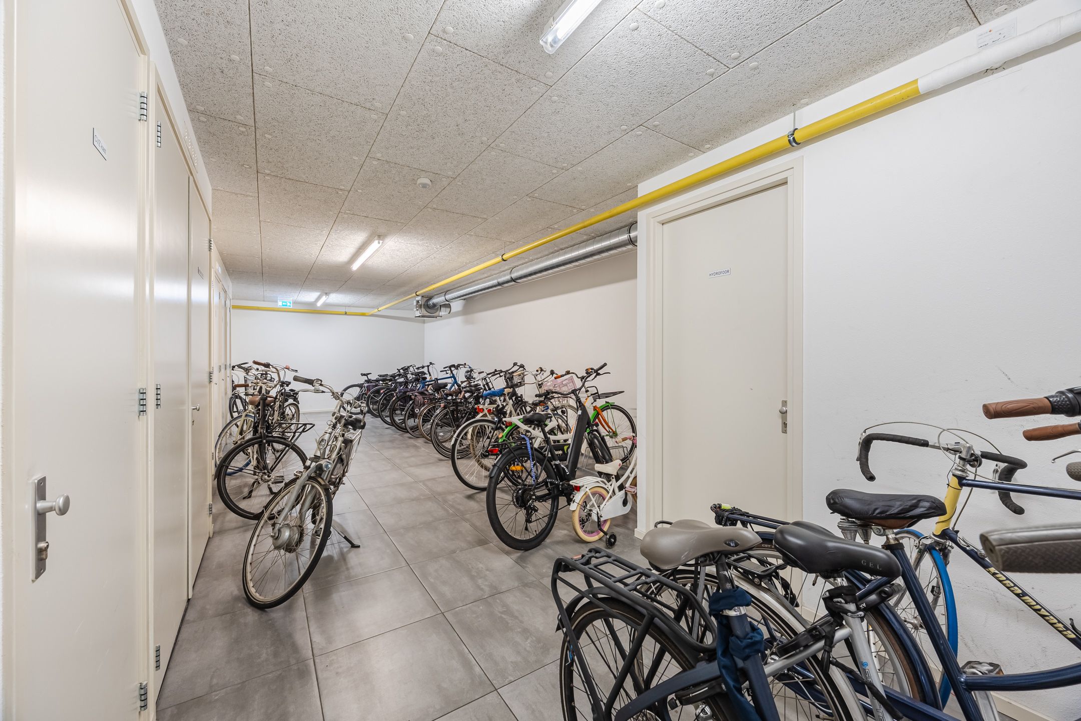 Foto 42 van Snoekstraat 6