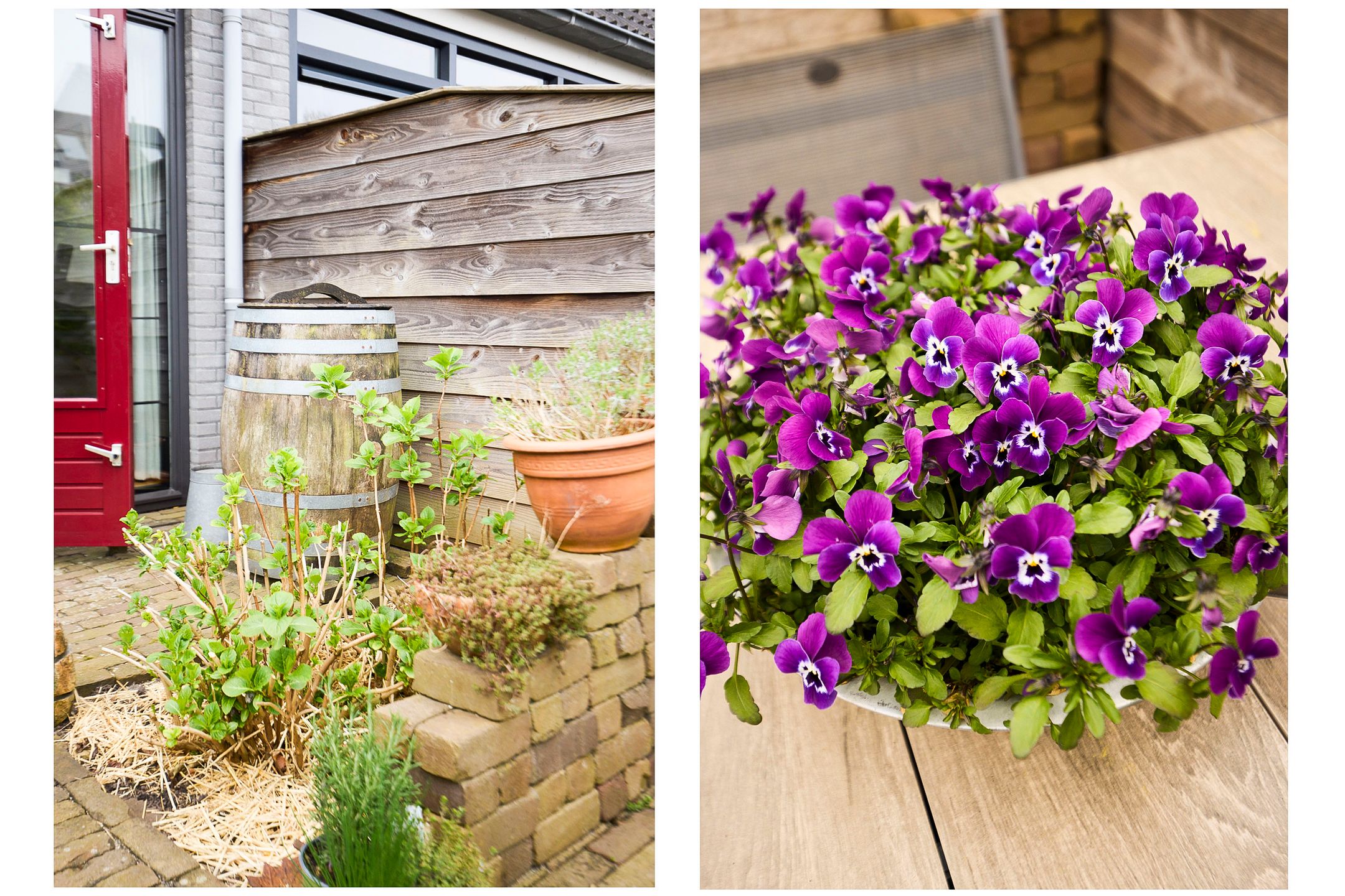 Photo 48 of Klipper 65