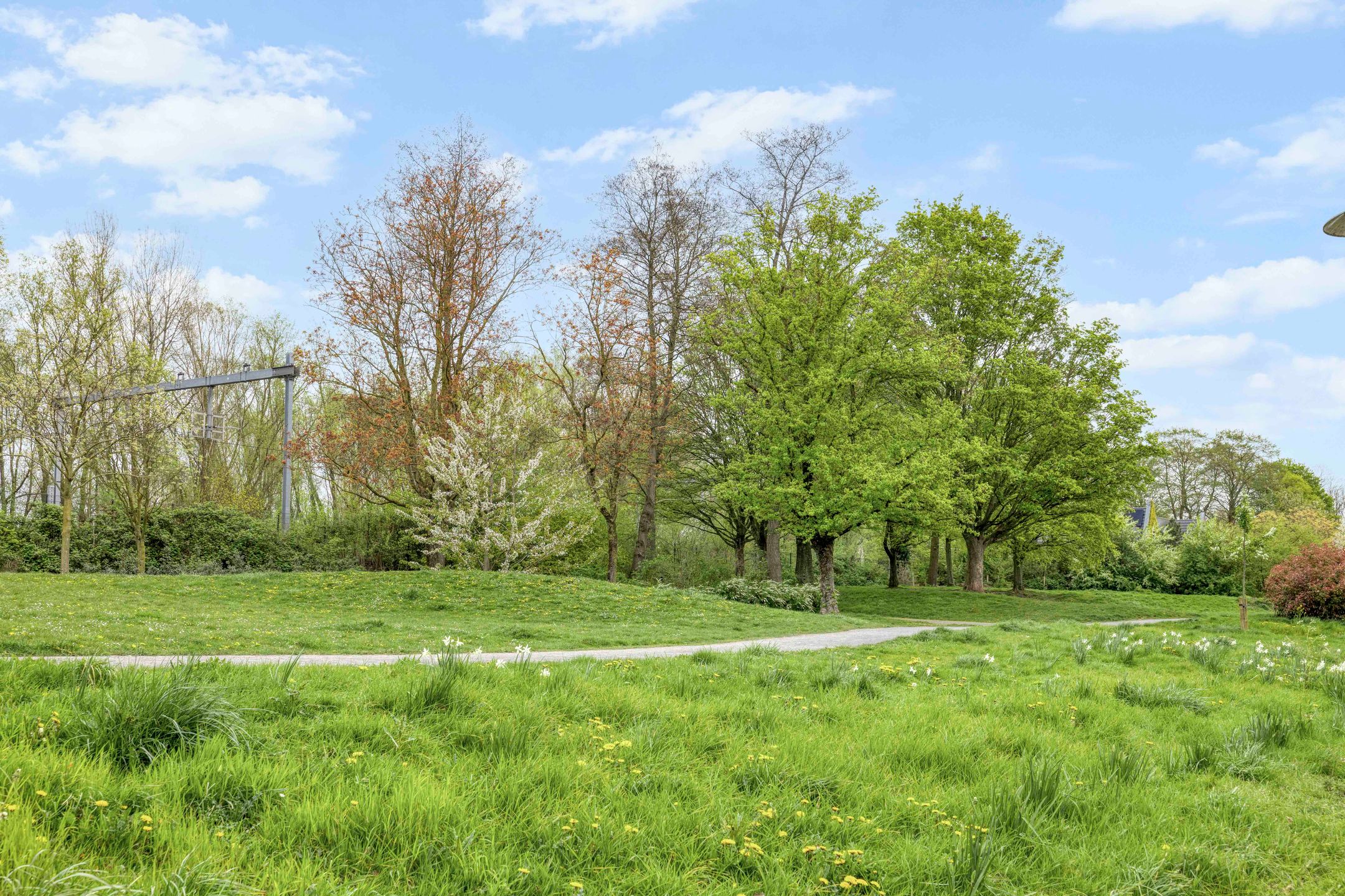 Foto 42 van Cremerstraat 370