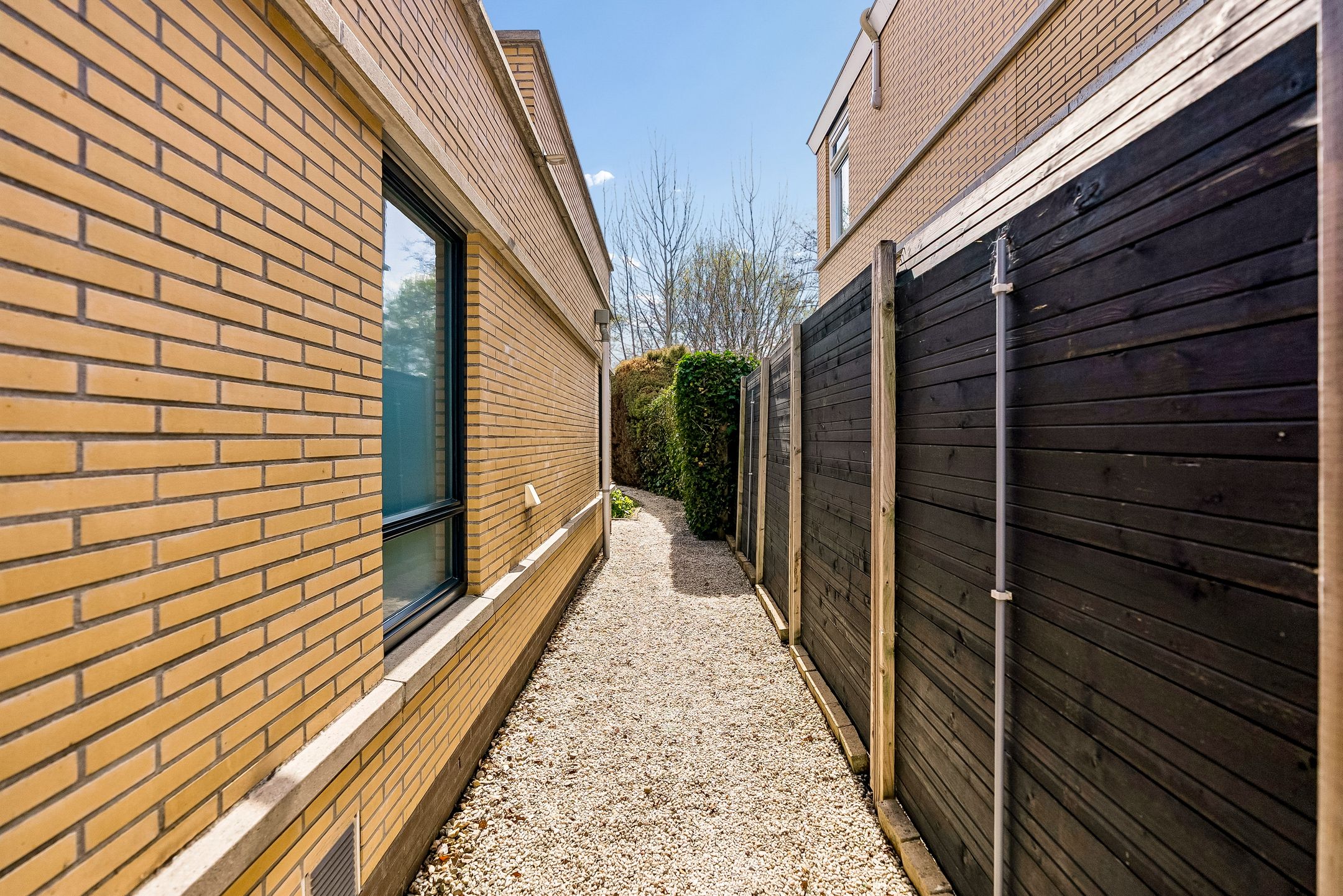 Foto 45 van Hans Lodeizenstraat 55