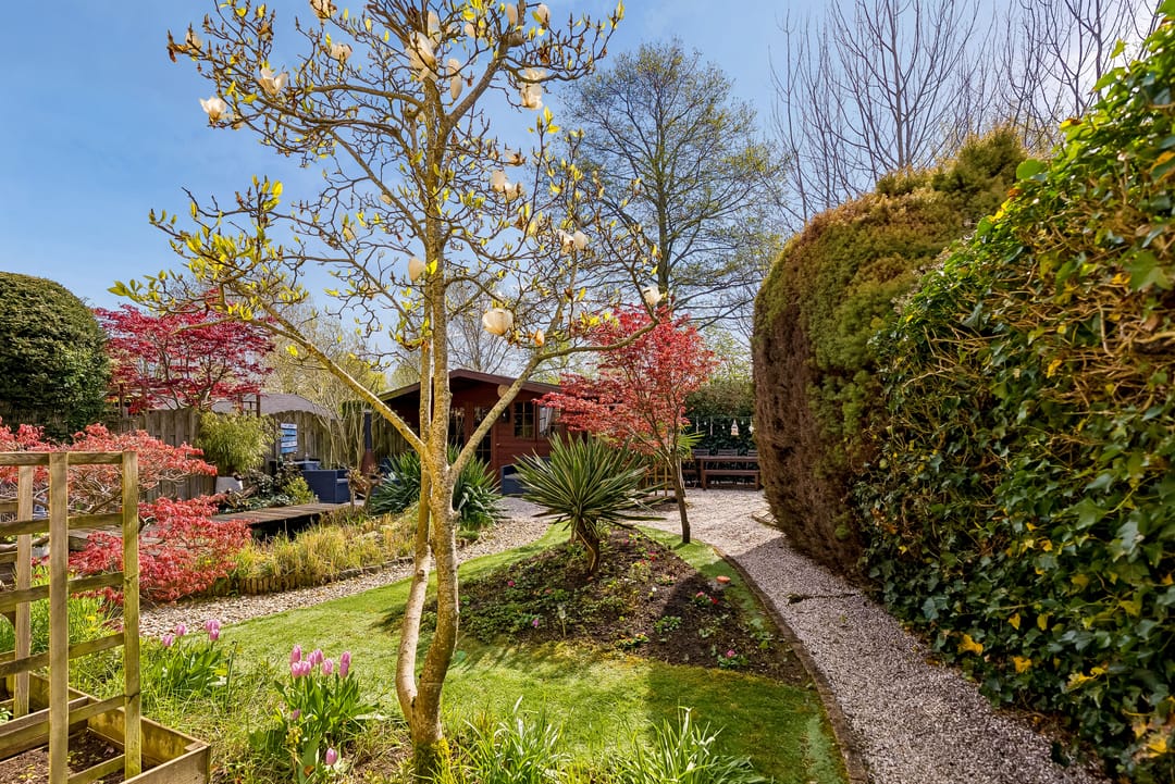 Foto 46 van Hans Lodeizenstraat 55