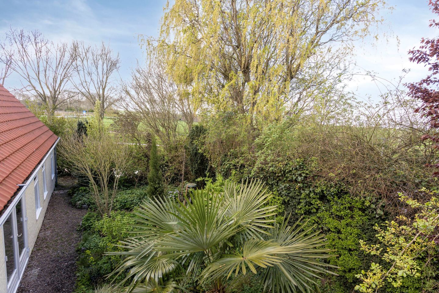 Photo 35 of De Kamp 14