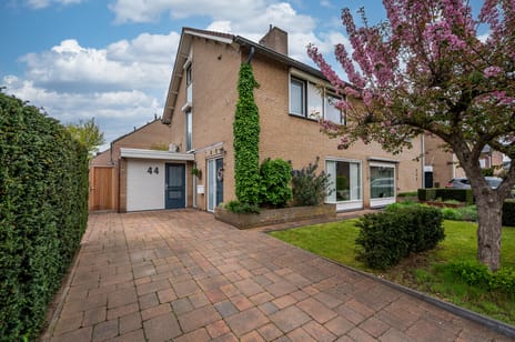 undefined main image