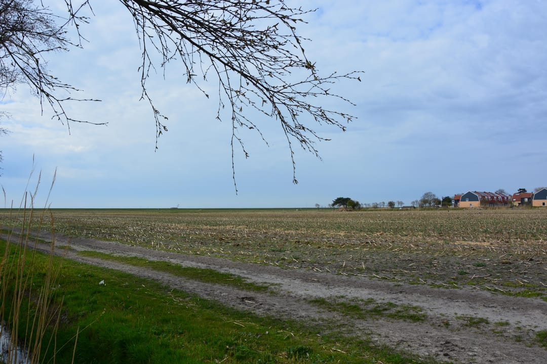 Photo 22 of Rijspolder 2-C