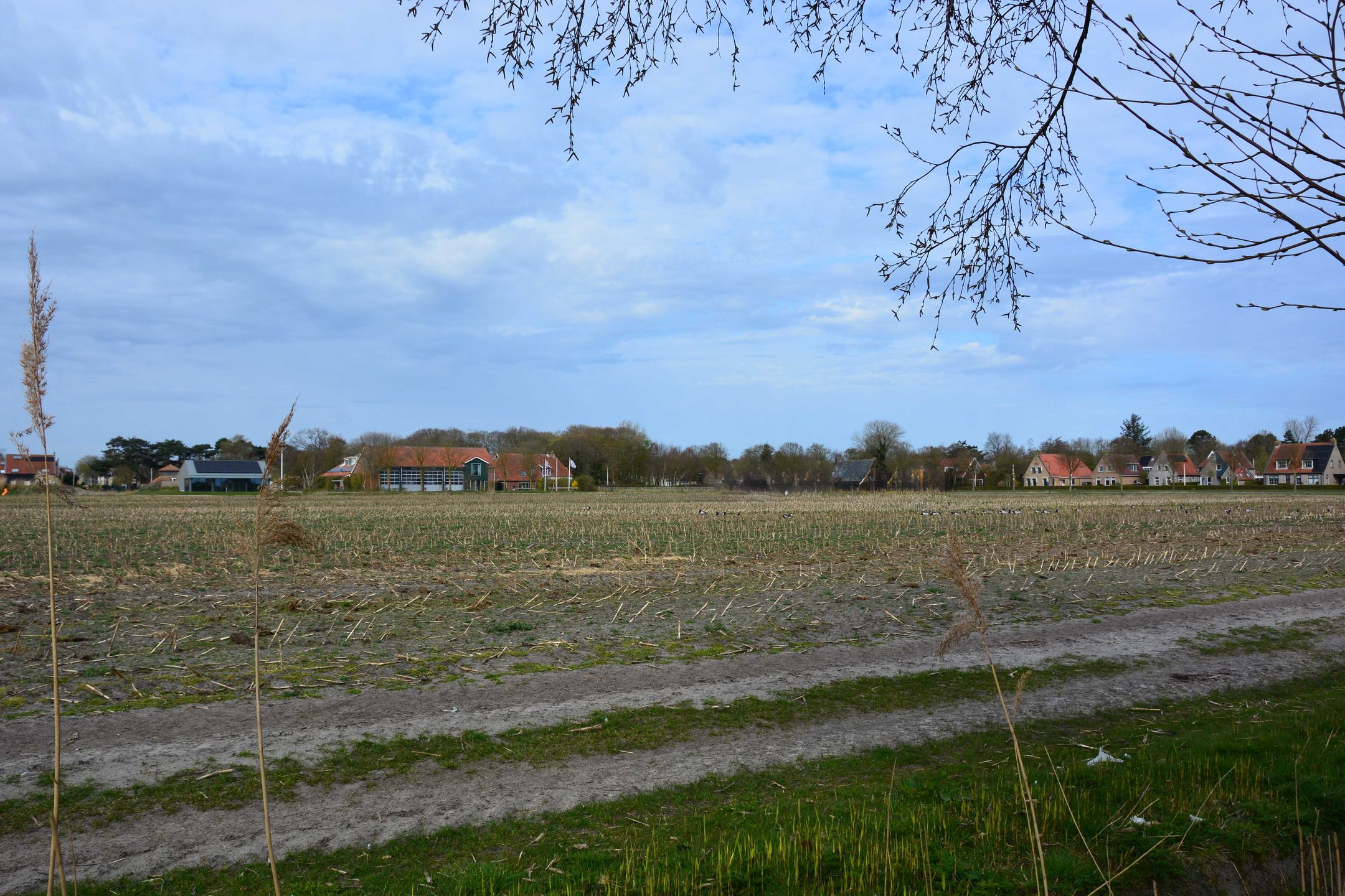 Photo 21 of Rijspolder 2-C