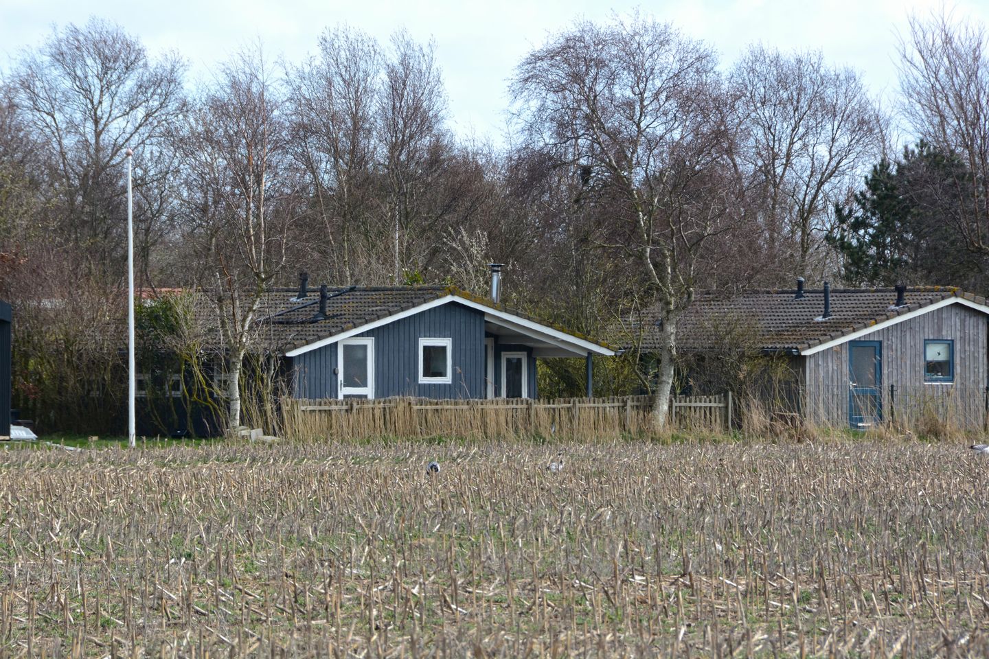 Photo 20 of Rijspolder 2-C