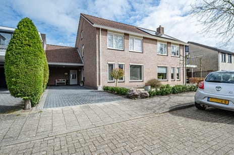 Stegemanserf thumbnail