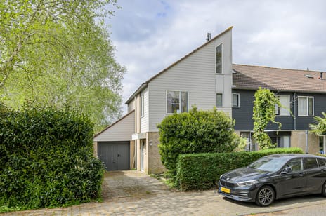 undefined main image