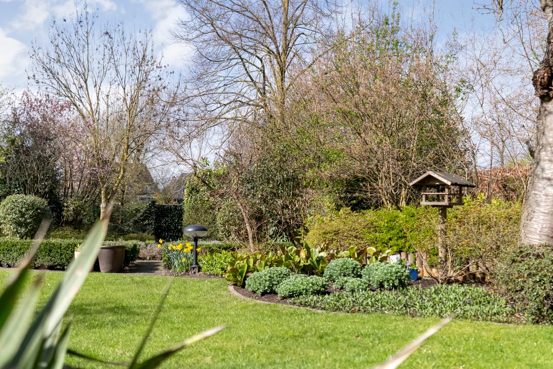 Photo 28 of De Klumper 4