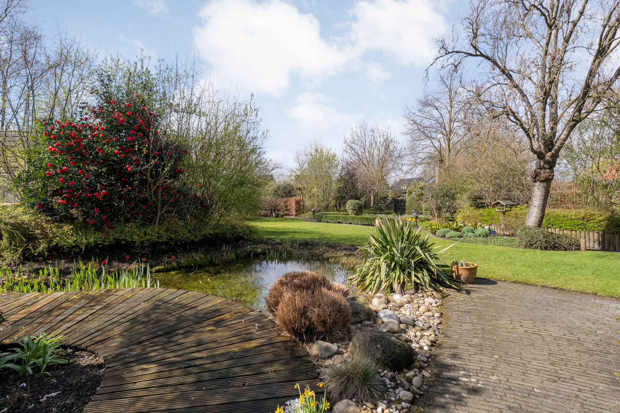 Photo 3 of De Klumper 4