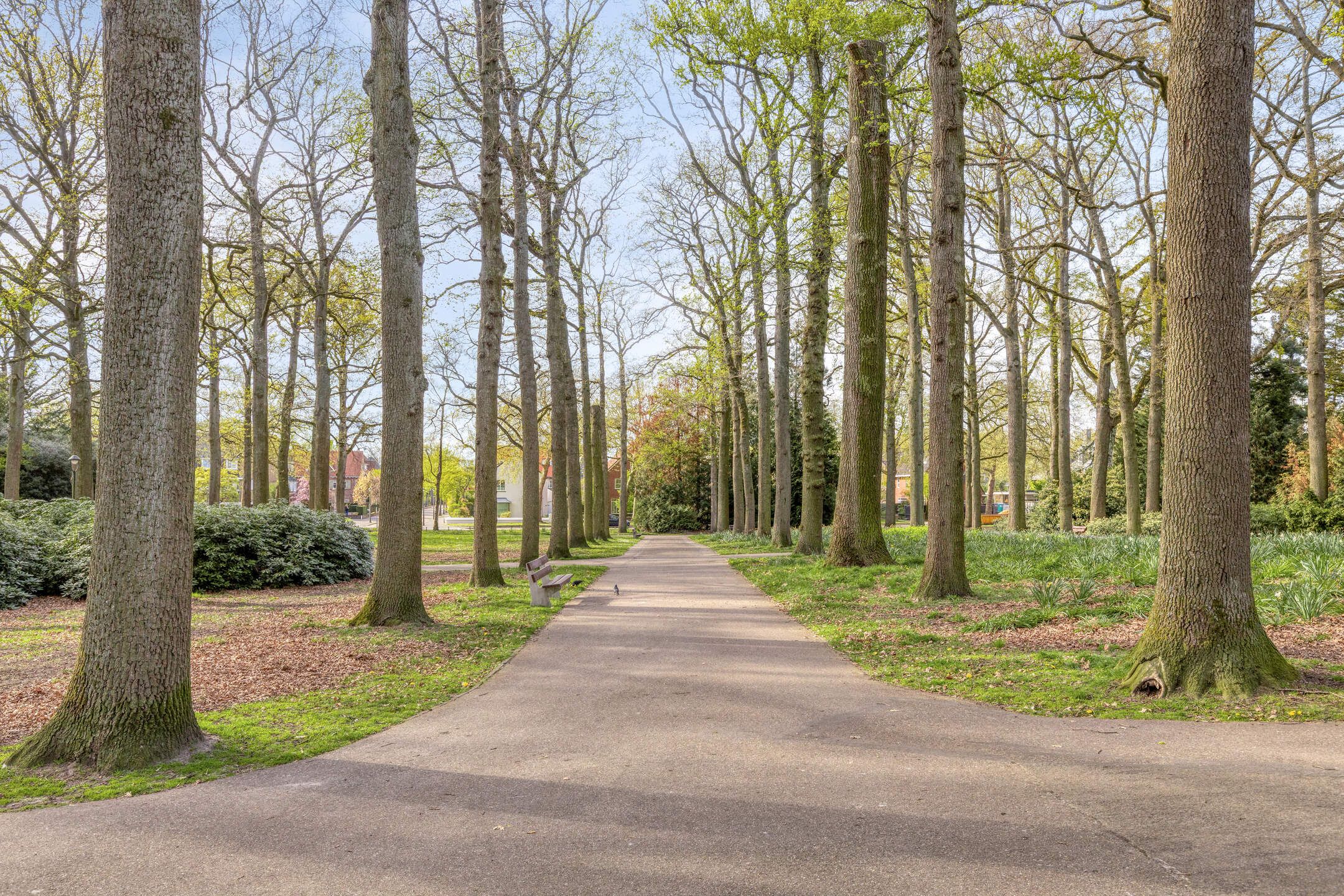 Foto 48 van Bomanshof 127