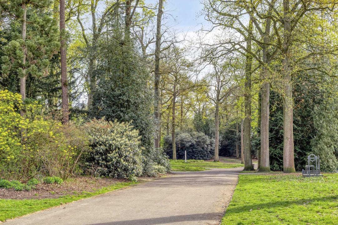 Foto 46 van Bomanshof 127