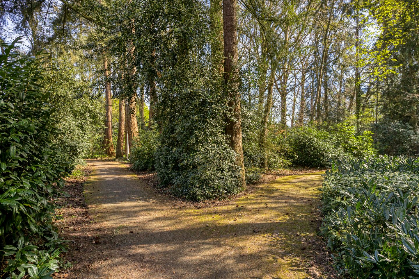 Foto 49 van Kasteel Montfoortstraat 38