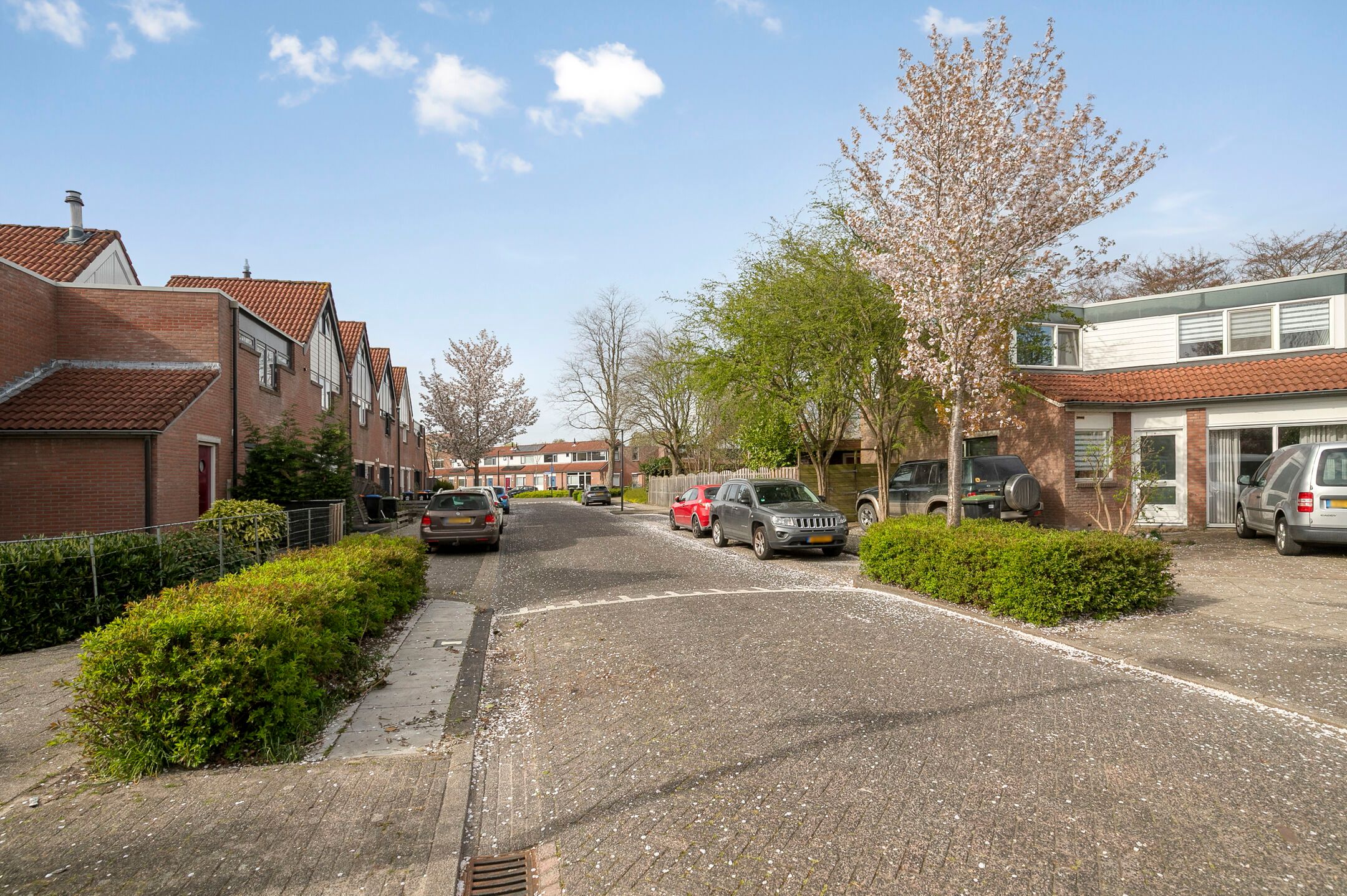 Foto 39 van Thomsonstraat 106