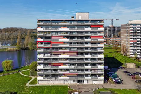 Aalscholversingel thumbnail